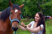 Pet Psychics - The Animal Whisperers