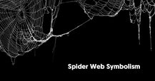 The Symbolism of Spiders